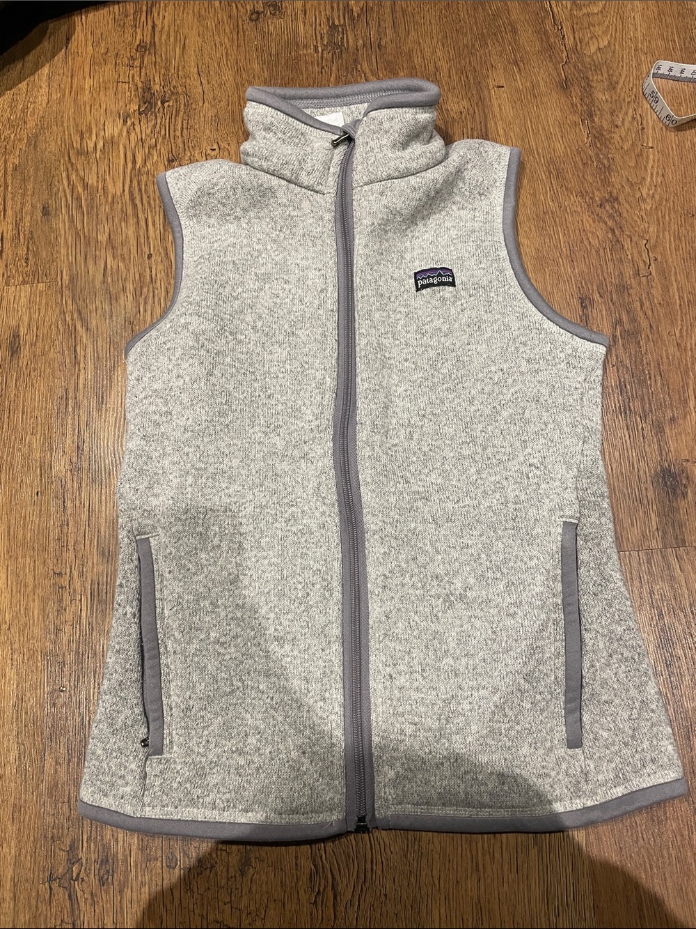 Patagonia Light Gray Fleece Vest